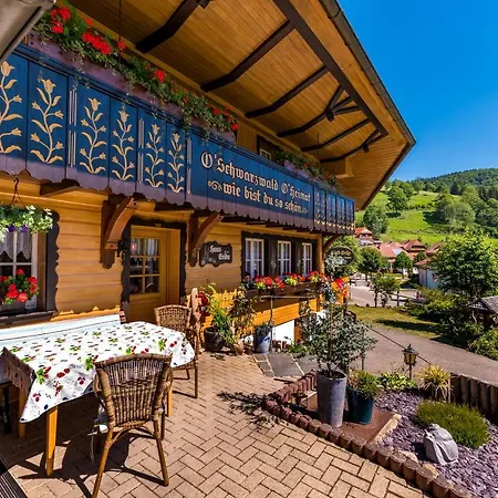Haus Erika 3*