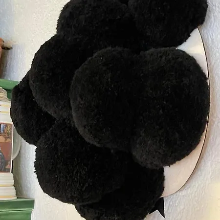 Haus Erika 게스트하우스