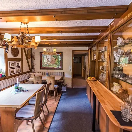 Haus Erika 4* ヴィーデン