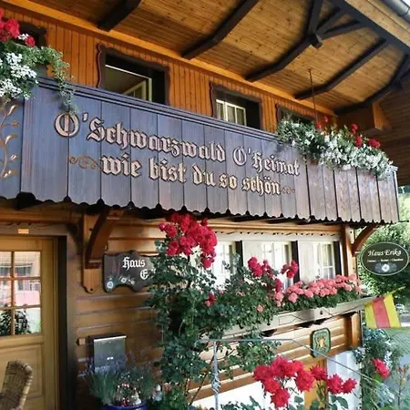 Haus Erika Vendégház Wieden