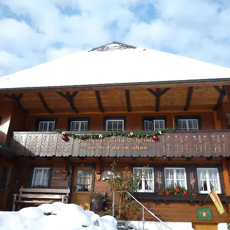 Haus Erika ヴィーデン