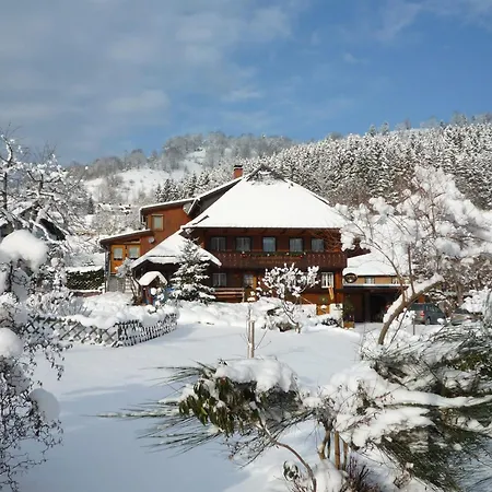 ゲストハウス Haus Erika 4*