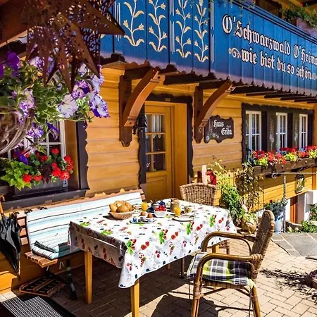 Haus Erika 4* ヴィーデン