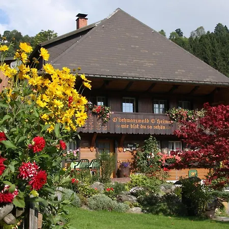 ゲストハウス Haus Erika ヴィーデン