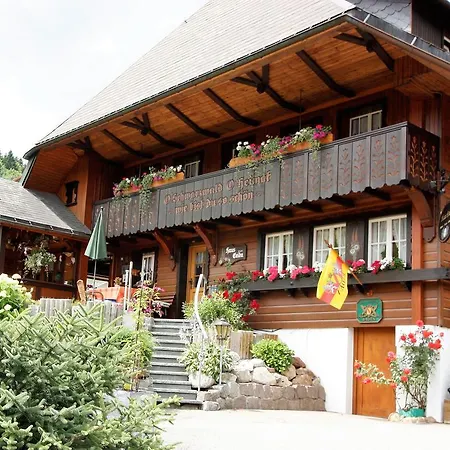 Haus Erika 4* ヴィーデン